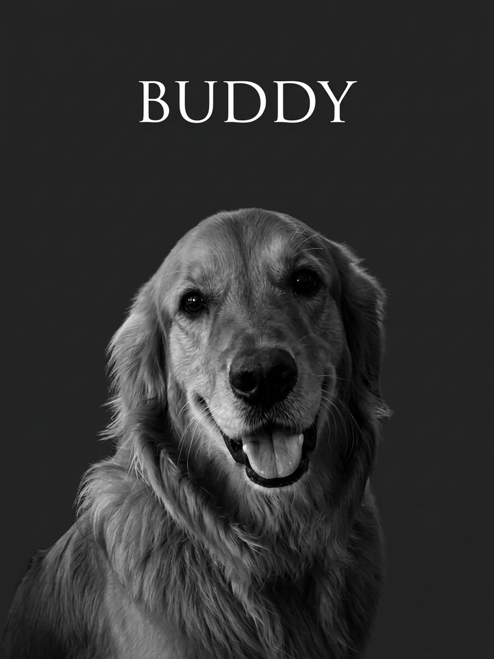 Golden retriever — Noir Name